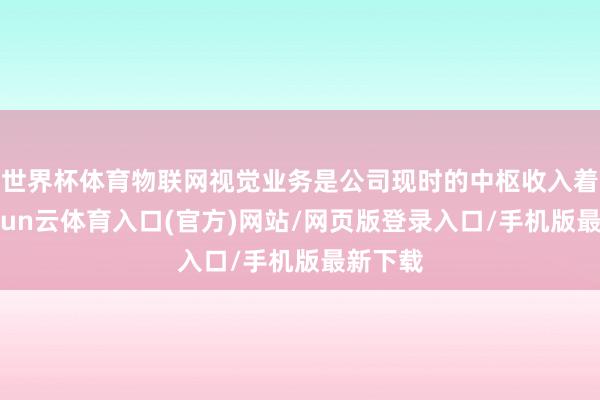 世界杯体育物联网视觉业务是公司现时的中枢收入着手-开yun云体育入口(官方)网站/网页版登录入口/手机版最新下载