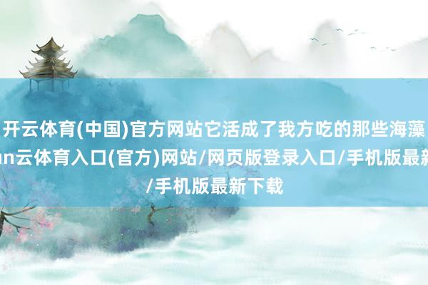 开云体育(中国)官方网站它活成了我方吃的那些海藻-开yun云体育入口(官方)网站/网页版登录入口/手机版最新下载